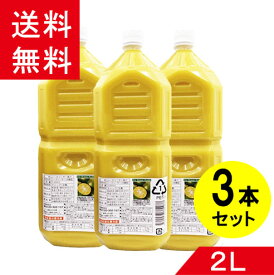 【大宜味村産100%】シークワーサー 原液 まるまるしぼり2L×3 【賞味期限:2025.2.12】 シークヮーサー ジュース 果実 業務用 送料無料