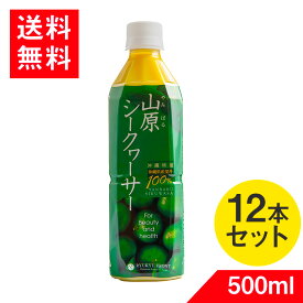 山原シークワーサー 500ml 12本入 送料無料 シークワーサー 100％ シークヮーサー ジュース 果実 青切り