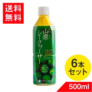 RV[N[T[ 500ml 6{  V[N[T[ W[X ʎ ؂ ނǂǂ V[N[T[ 100