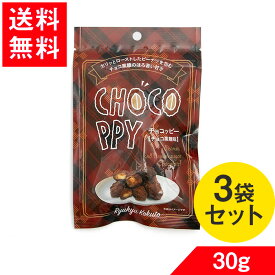 チョコッピー。 チョコ黒糖味 30g × 3 琉球黒糖 ちょこっぴー ピーナッツ お菓子 送料無料