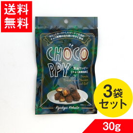 チョコッピー。 黒糖塩味 30g × 3 琉球黒糖 ちょこっぴー ピーナッツ お菓子 送料無料