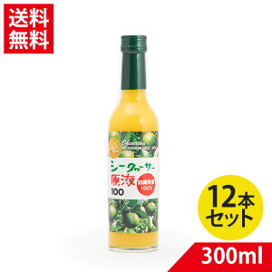 YV[N[T[ 300ml × 12{| V[N[T[ W[X ʎ ؂ NG_ r^~C X V[N[T[ 100