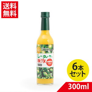 YV[N[T[ 300ml × 6{| V[N[T[ W[X ʎ ؂ NG_ r^~C V[N[T[ 100 X