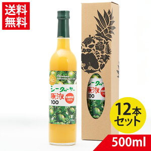 YV[N[T[ 500ml × 12{| V[N[T[ W[X ʎ ؂ NG_ r^~C V[N[T[ 100 X