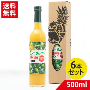 yN[|zzzYV[N[T[ 500ml × 6{| V[N[T[ W[X ʎ ؂ NG_ r^~C V[N[T[ 100 X
