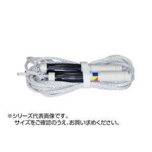 Llbg `[Wv 10m  Obv25cm 10701yEsz