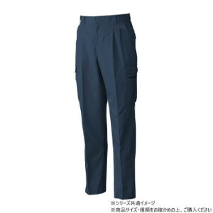 Ka 4118 c[^bNJ[Spc 73TCY lCr[(1)yEsz