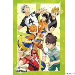 WO\[pY 1000s[X AjunCL[!!v G 1000T-508yEsz