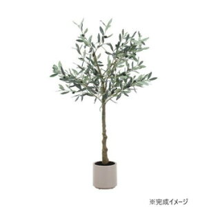 �s��f�� C/D:28054 �t�F�C�N�O���[�� �I���[�u 120cm �W���C���g�y�����E������s�z