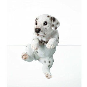 hbOI[ig(_VA)@14207yEsz