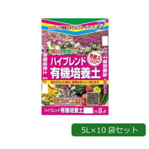 |  nCuhL@|{y 5L×10 1310511yEsz