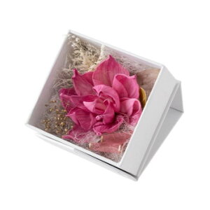 t[AW XNGA{bNX S PK F-3509yEsz