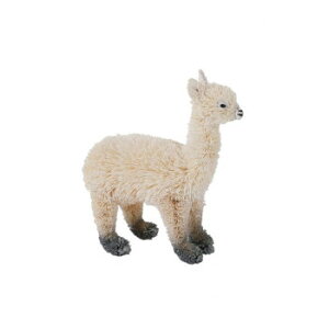 񂩂 킵Aj} ApJ M81-1493yEsz