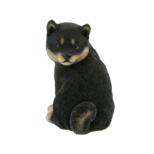 Benny's Vo(Ă?) QB-005GBKyEsz