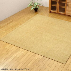�V�F�j�[���D�J�[�y�b�g �w���f���m�x �x�[�W�� ��200×250cm 4599039�y����s�z