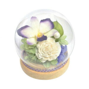 p()@KXh[AWg@vU[uht[@XtBA@C34661yEsz