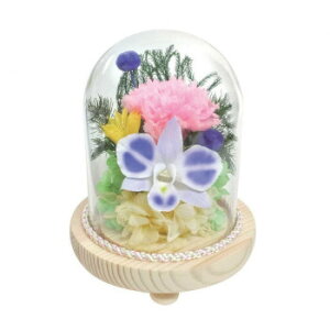 p()@KXh[AWg@vU[uht[@x()@C32520yEsz