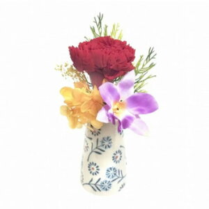 p@~jԁ@vU[uht[@Ԋt@z()@bh@C34810KNyEsz