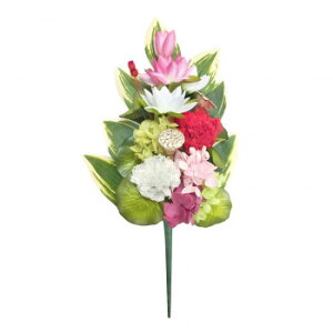 p@lGԁ@vU[uht[@(t~dL)@nX(sN)@L@C37507LyEsz