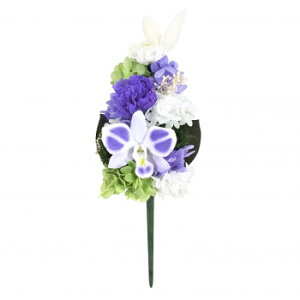 p@vU[uhԁ@vU[uht[@()@S@C34561SyEsz