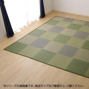 ԂJ[ybg ws[Ax u[ cn2(170×170cm) 4323722yEsz