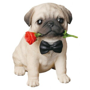 hbOI[ig pO WFg 14266yEsz