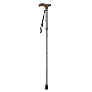 EFt@ CtXebL ܂肽ݐLk^(X^Cv) O[ 009713yEsz