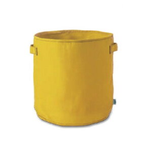 PLUS the green |bgJo[ CG[ 53451yEsz