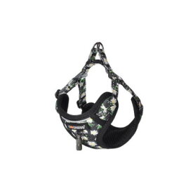 ルークラン ドッグネス リード＆ハーネスセット リトルラスカル デイジーブラック ペット用品【代引不可】