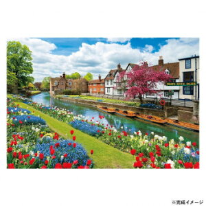 ro[ iCOWO\[pY J^x[ ԍ炭 1000s[X 1000-053yEsz