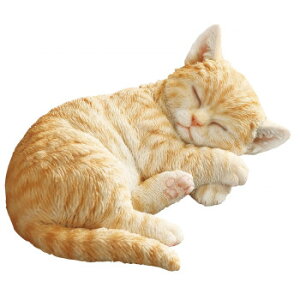 LbgI[ig LeB 14223yEsz