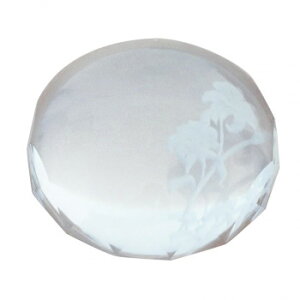 t[AW NX^[y  K-2725yEsz