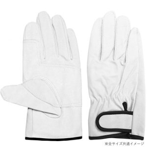 쏤 G[X ؃NXg }WbNe[v Aet 3og MTCY AG527-3PyEsz