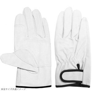 쏤 G[X ؃NXg }WbNe[v Aet 3og LLTCY AG527-3PyEsz