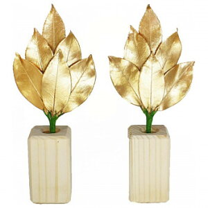 AK ̍(~jSS) 嗧ăZbg ST-017yEsz