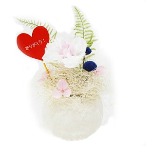 AK {vU[uht[ 񂿂 zCgJ[l[V (肪ƂsbN) BC-011CyEsz