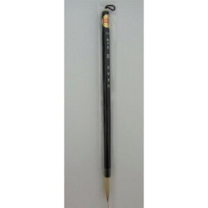 16570@h@ȏ𕝗pM@@(6)@C^`сErсyEsz