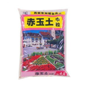 | ԋʓy  4L 10 1010412yEsz