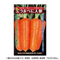 小林種苗 ニンジン種子 うまべに　4678　2dl【代引不可】