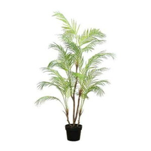 81023 tFCNc[ AJVyEsz