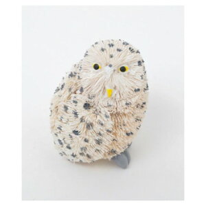 񂩂 킵Aj} tNE M81-0302yEsz