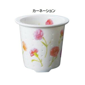 eB[tH[ a 5 J[l[V TFO-003yEsz