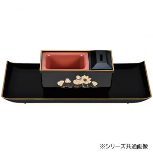 č~₷炬Zbg 5.0  (t`) @ 3808850201021yEsz