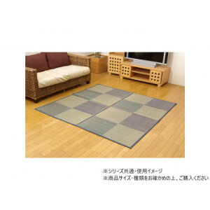 DX�p���R �J�[�y�b�g �]�ˊ�3�� 174×261cm �u���[ 1030320040302�y����s�z