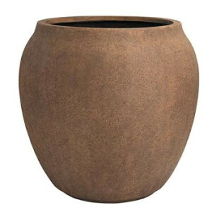 O[|bg Aؔ m W[ Jv`[m 36cm EB-RJ3635CPyEsz