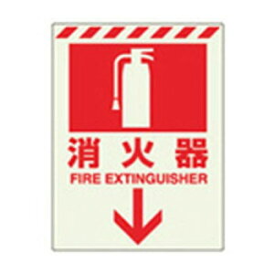 jbg ~XebJ[@Ί@ 831-08yEsz