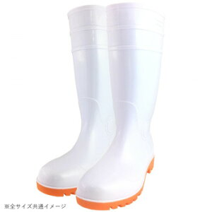 쏤 G[X c ϖSC 25.0cm WS3001WyEsz