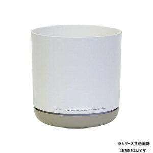 SGI GXW[AC 100TCN|bg M WHITE 25646yEsz