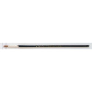 REMBRANDT�@�����u�����g���ʉ�M241�@�s���A���b�h�Z�[�u��/���E���h�@T909-241-16(16��)�@499309�y����s�z