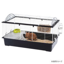 楽天市場】ファープラスト キャシタの通販